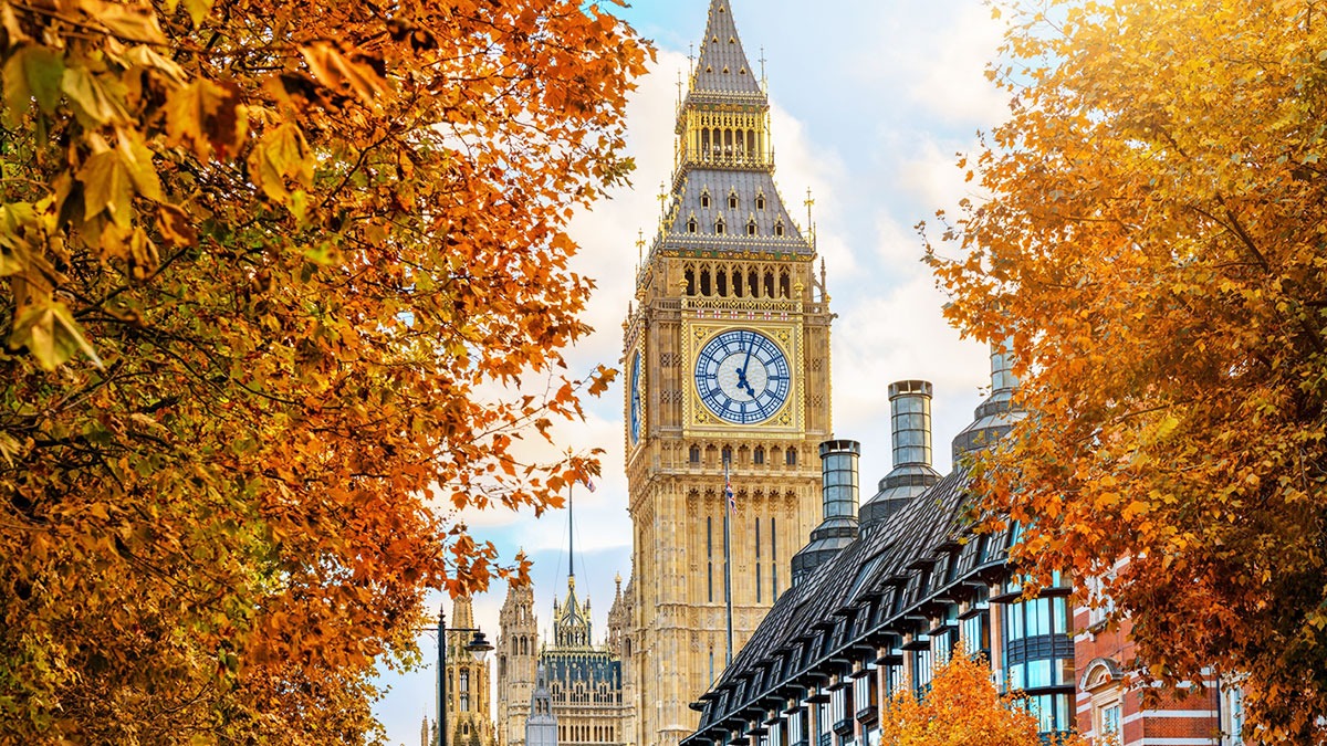 Development Finance and Bridging banner